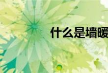 什么是墙暖（有什么特点）