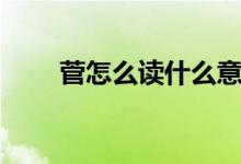 菅怎么读什么意思（菅这个念什么）
