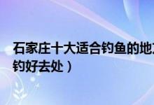 石家庄十大适合钓鱼的地方（哪个水库钓鱼好石家庄免费野钓好去处）