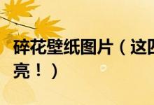 碎花壁纸图片（这四款小碎花墙纸竟能这么漂亮！）