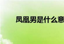 凤凰男是什么意思（什么是凤凰男）