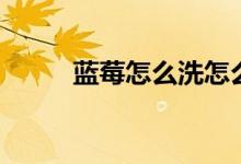 蓝莓怎么洗怎么吃（蓝莓怎么洗）