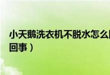 小天鹅洗衣机不脱水怎么回事啊（小天鹅洗衣机不脱水怎么回事）