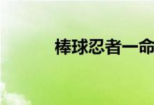 棒球忍者一命通关（棒球忍者）