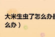 大米生虫了怎么办最有效方法（大米生虫了怎么办）