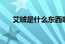 艾绒是什么东西啊（艾绒是什么东西）