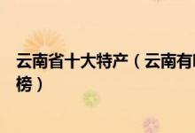 云南省十大特产（云南有哪些特产最出名云南著名特产排行榜）