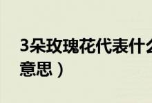 3朵玫瑰花代表什么意思（3朵玫瑰花是什么意思）
