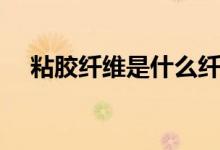 粘胶纤维是什么纤维（粘胶纤维是什么）