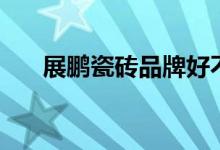 展鹏瓷砖品牌好不好（有什么优缺点）