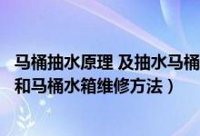 马桶抽水原理 及抽水马桶水箱结构图（抽水马桶水箱结构图和马桶水箱维修方法）