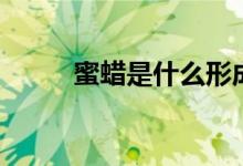 蜜蜡是什么形成的（蜜蜡是什么）