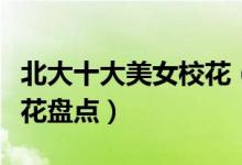 北大十大美女校花（北大才貌双全学霸女神校花盘点）