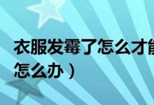 衣服发霉了怎么才能把它洗干净（衣服发霉了怎么办）