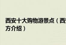 西安十大购物游景点（西安逛街购物去哪里好西安购物好地方介绍）