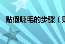 贴假睫毛的步骤（贴假睫毛的步骤与方法）