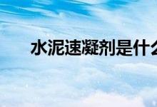 水泥速凝剂是什么（价格多少钱一吨）