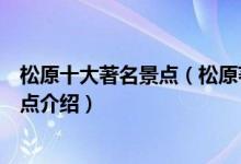松原十大著名景点（松原著名旅游景点有哪些松原有名的景点介绍）