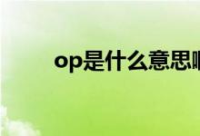 op是什么意思啊（op是什么意思）