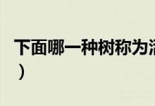 下面哪一种树称为活化石（哪种树称为活化石）