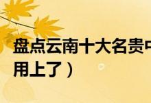 盘点云南十大名贵中草药（关键时刻说不定就用上了）