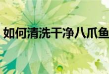 如何清洗干净八爪鱼（八爪鱼怎么清洗干净）
