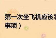 第一次坐飞机应该怎么坐（第一次坐飞机注意事项）
