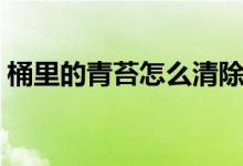 桶里的青苔怎么清除（去除水桶青苔小妙招）