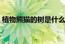 植物熊猫的树是什么（植物熊猫是指什么树）