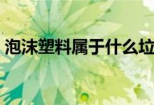 泡沫塑料属于什么垃圾（泡沫塑料如何处理）