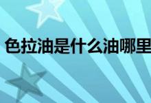 色拉油是什么油哪里有卖（色拉油是什么油）