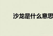 沙龙是什么意思（沙龙是什么意思）