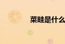菜畦是什么（菜畦是什么）
