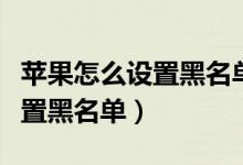 苹果怎么设置黑名单的拦截短信（苹果怎么设置黑名单）