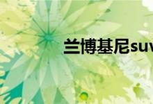  兰博基尼suv参考价格295万 