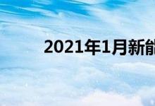  2021年1月新能源汽车销量排行榜 