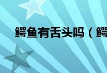 鳄鱼有舌头吗（鳄鱼舌头的作用是什么）