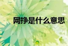 网挣是什么意思（网赚的意思是什么）