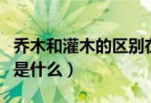 乔木和灌木的区别在哪里（乔木和灌木的区别是什么）