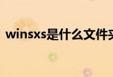winsxs是什么文件夹（winsxs指的是什么）