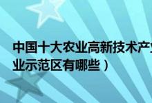 中国十大农业高新技术产业示范区（农业高新区排名现代农业示范区有哪些）