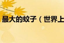最大的蚊子（世界上最大的蚊子是什么蚊子）