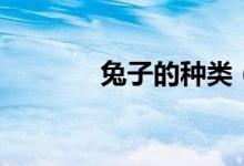 兔子的种类（兔子品种介绍）