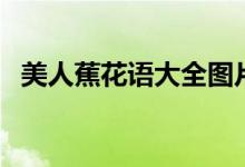 美人蕉花语大全图片（美人蕉花语是什么）