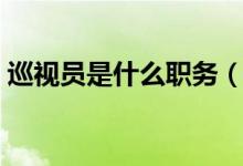 巡视员是什么职务（巡视员是什么职务级别）