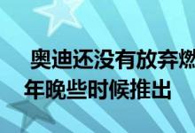  奥迪还没有放弃燃料电池汽车新原型将在今年晚些时候推出 