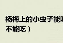 杨梅上的小虫子能吃吗（杨梅里跑出小虫子能不能吃）