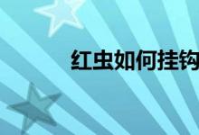 红虫如何挂钩（红虫如何挂钩）