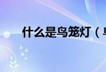 什么是鸟笼灯（鸟笼灯DIY制作教程）