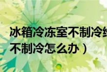冰箱冷冻室不制冷维修视频教程（冰箱冷冻室不制冷怎么办）